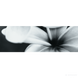 Плитка Opoczno Pret-a-Porter BLACK FLOWER COMPOSITION декор3 311148