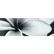 Плитка Opoczno Pret-a-Porter BLACK FLOWER COMPOSITION декор3 311148