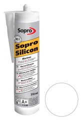 Силікон Sopro MarmorSilicon 790 безбарвний №00 (310 мл) LC-2244