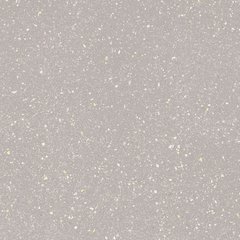 Плитка підлогова Moondust Silver SZKL RECT LAP 59,8x59,8 код 0192 Ceramika Paradyz LC-21844