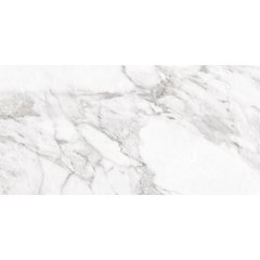 Плитка Керамограніт Argenta Ceramica Carrara WHITE SHINE 426718