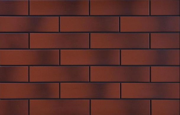 Плитка фасадна Rot (з відтінком) 6,5x24,5x0,65 код 9546 Cerrad LC-1193
