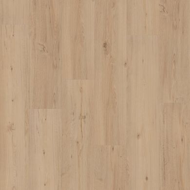 Дуб пісчаний (Oak sanded) VT-1442052