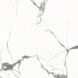 GXJ00160S Carrara (1 сорт) 325392