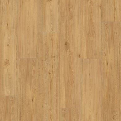 Дуб натуральний браш (Oak natural brushed texture) VT-1730779